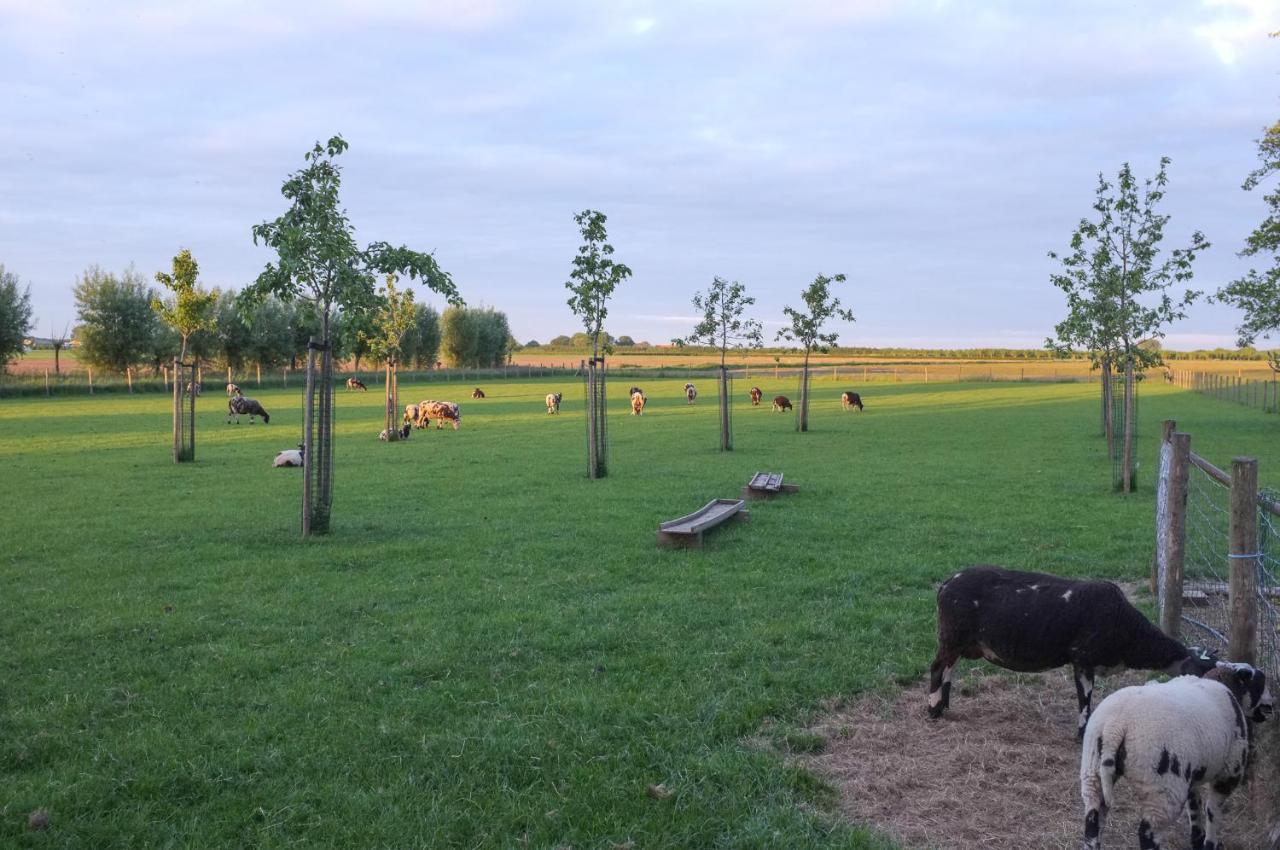 De Nachtdijk Bed & Breakfast Wijk bij Duurstede Eksteriør bilde